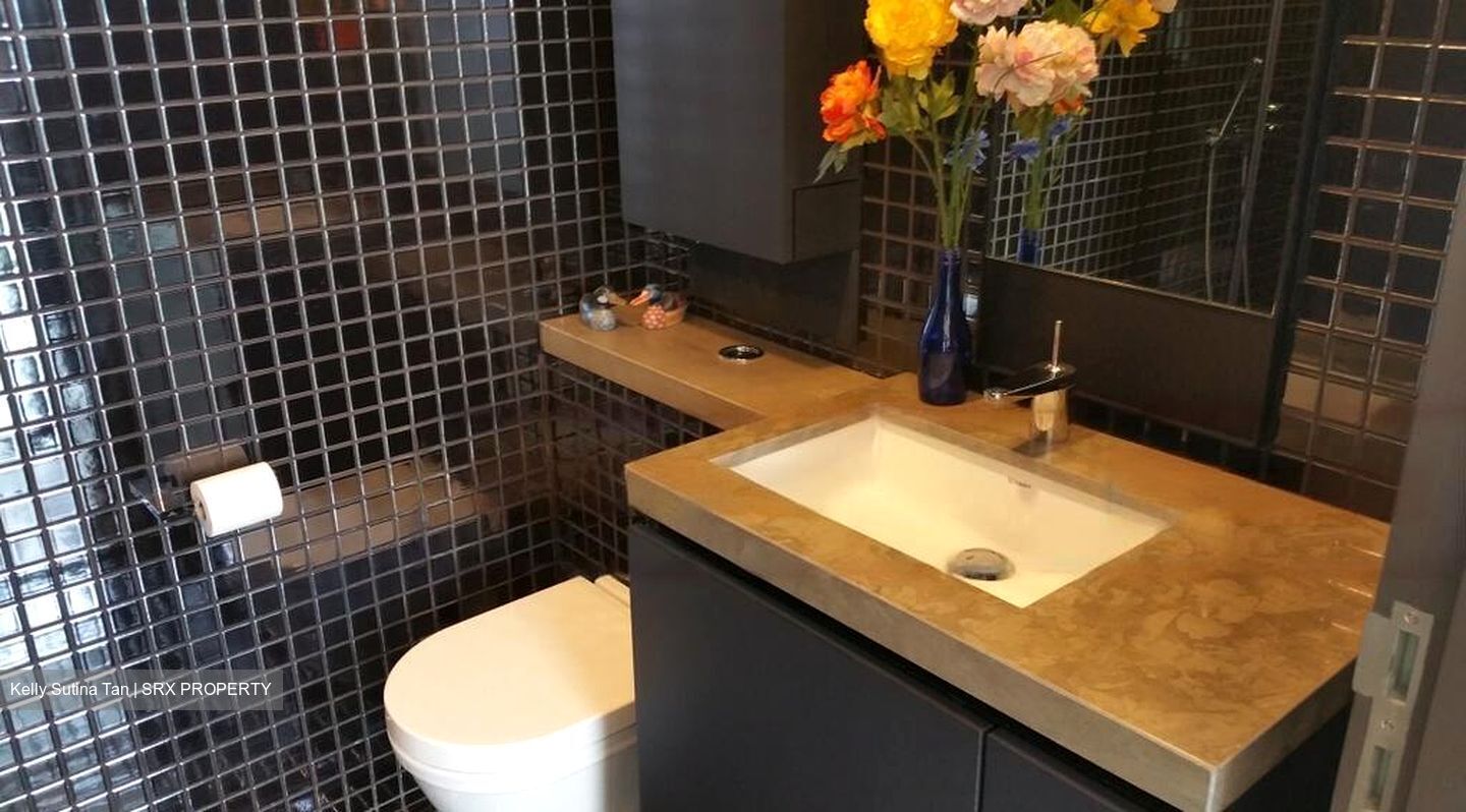Skysuites@Anson (D2), Apartment #425706741